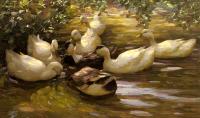 Alexander Koester - Max Enten In Wasser Unter Birken